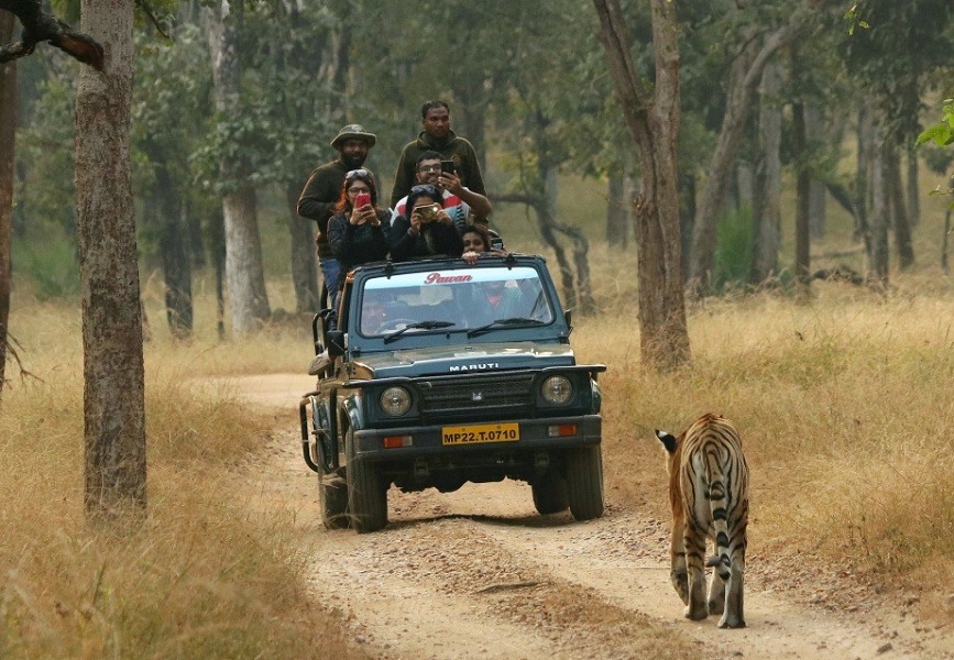 ranthambore jeep safari
