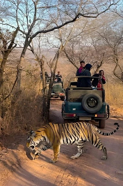 Ranthambore National Park